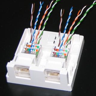 �c�C�X�g����